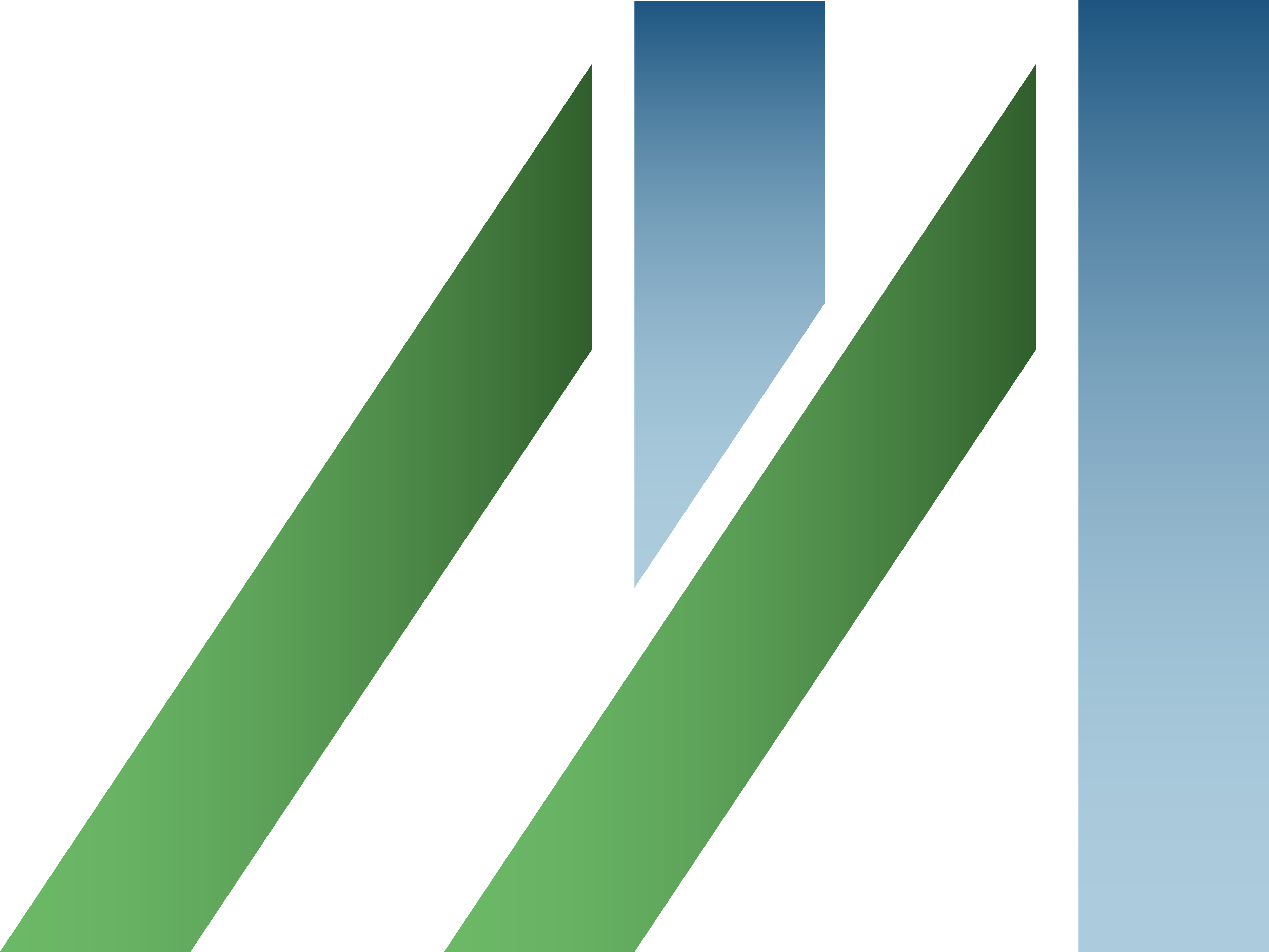 logo Mineralogical